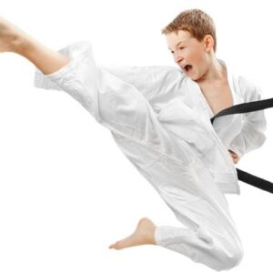 Circular Wind Ryu - Youth Black Belt Club Session Fee